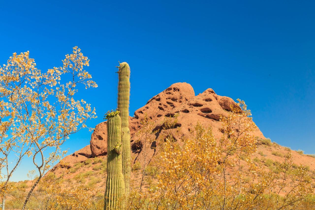 Desert Foothills Phoenix Exterior photo